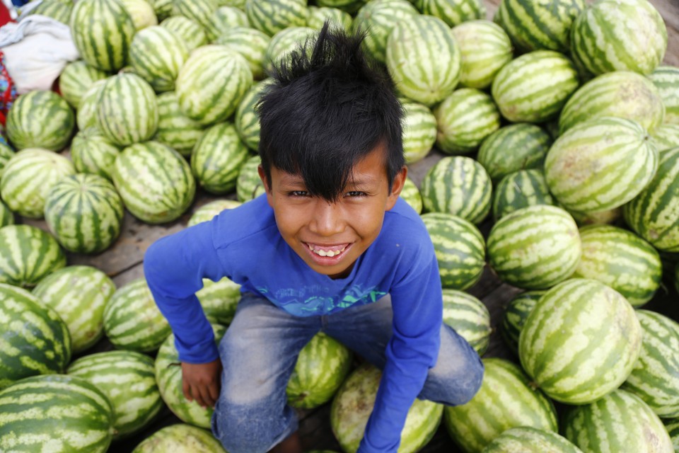 Frutas, hortaliças e carne devem ter novas altas dependendo do acordo do tabelamento do frete | Jonathan Campos/Gazeta do Povo