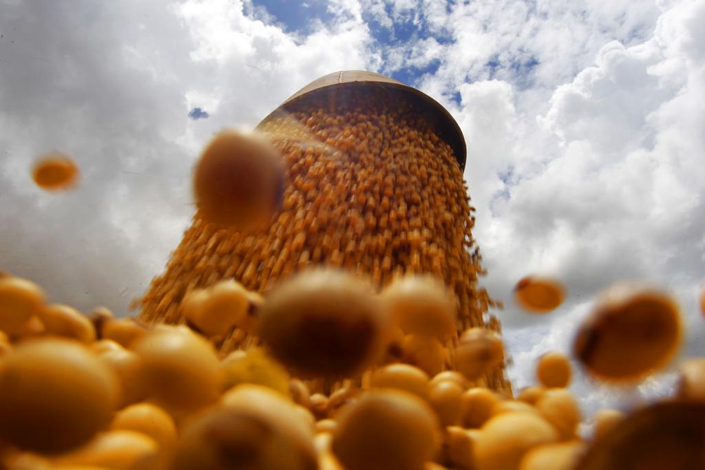  | Daniel Caron/Gazeta do Povo