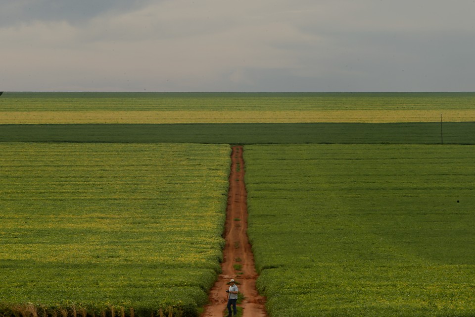 Em 2017, a área total ocupada por estabelecimentos agropecuários em todo o País cresceu 5,0% em relação ao censo de 2006. | Albari Rosa/Gazeta do Povo