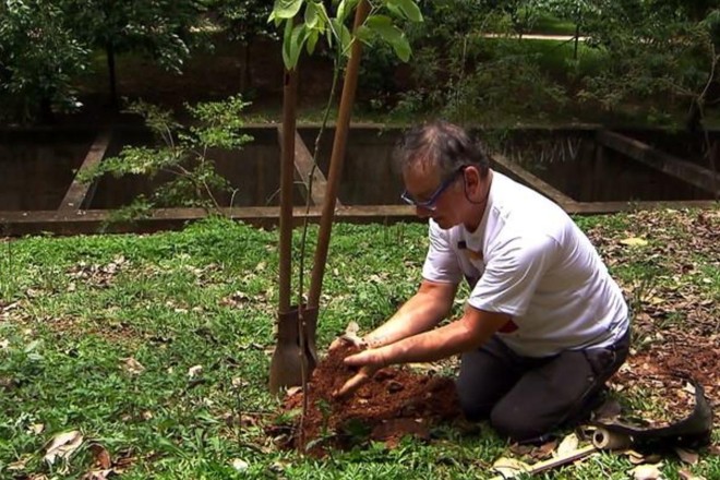 Hélio da Silva planta mais uma árvore: “Tenho três filhos, três netos e 25 mil filhos ecológicos” | Arquivo Pessoal