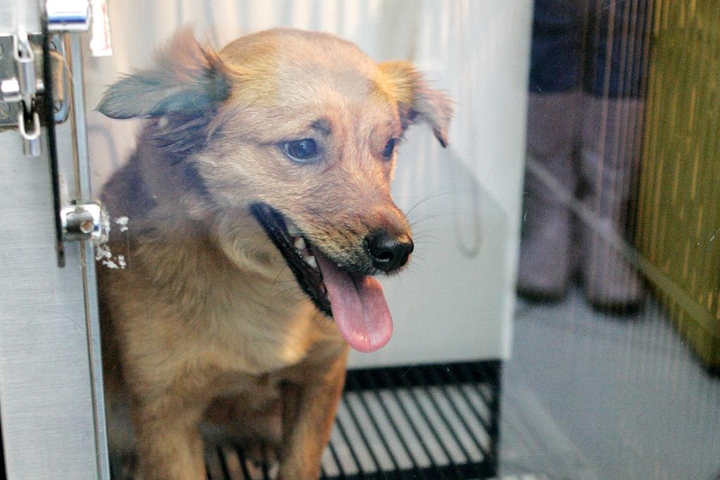  | Antônio More /
  Gazeta do Povo/Arquivo