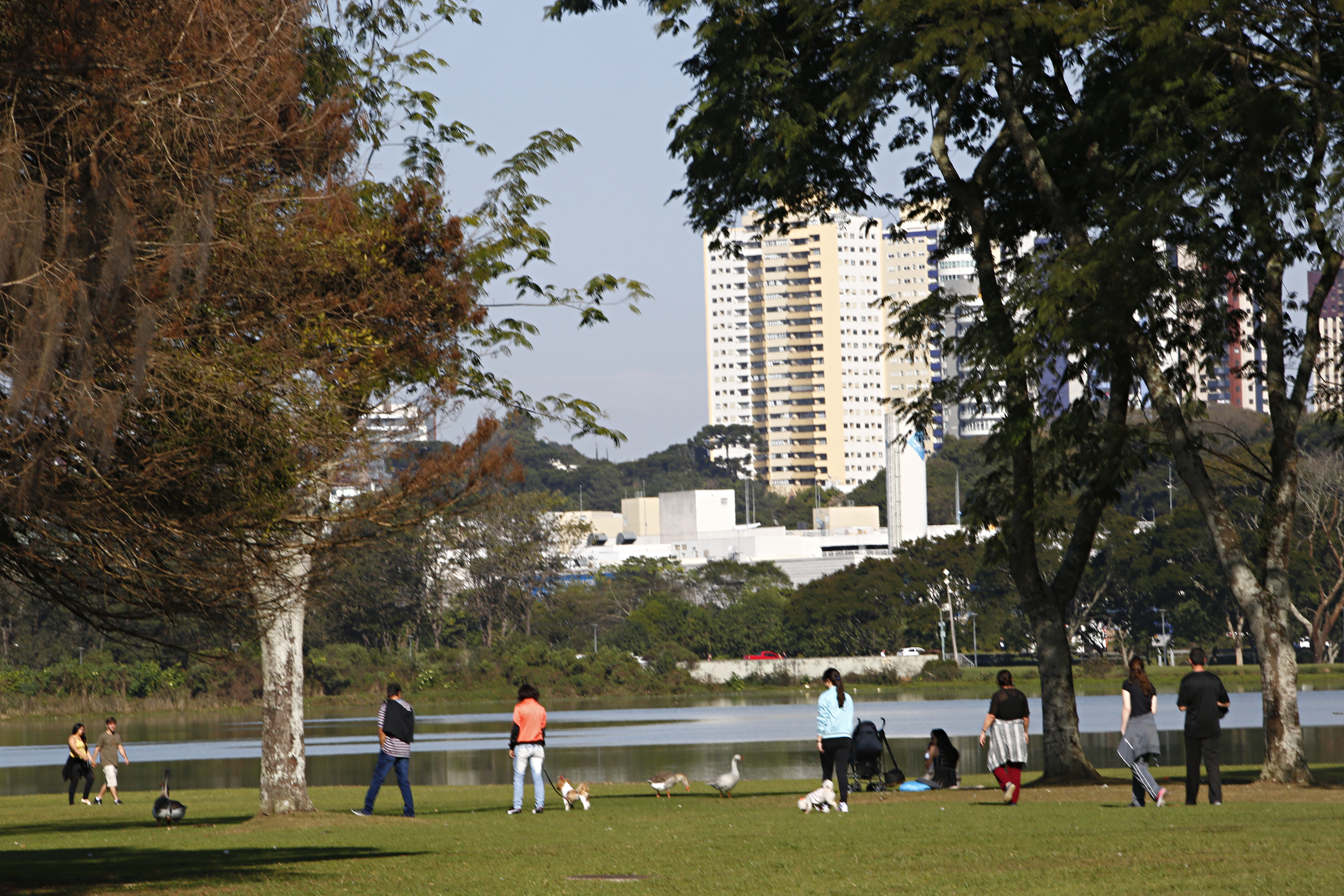 | Aniele Nascimento/Gazeta do Povo
