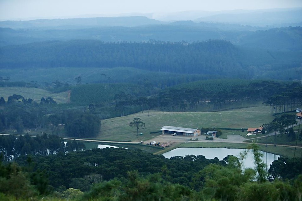 Mapeada detalhadamente pela Embrapa Territorial, a área total destinada à preservação, manutenção e proteção da vegetação nativa no Brasil ocupa 66,3% do território. | Albari Rosa/Gazeta do Povo