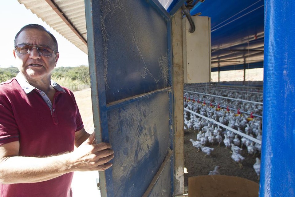 No jeitinho mineiro de criar frango, a briga contra a crise é “mano a mano” Wayne Franco, avicultor de Pará de Minas | Daniel Caron/Gazeta do Povo