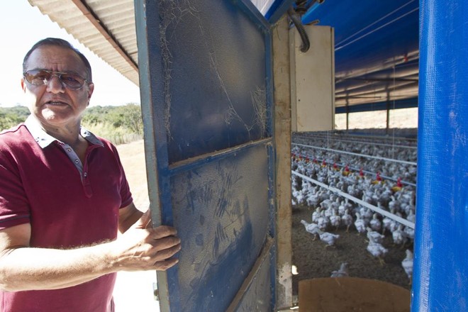 Wayne Franco, avicultor de Pará de Minas | Daniel Caron/Gazeta do Povo