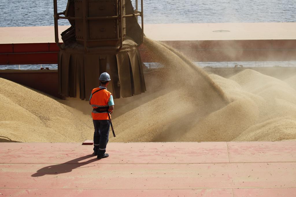 O prêmio pago ao grão brasileiro é equivalente a dois terços do custo das tarifas que a China pretende cobrar sobre os embarques dos EUA. | Jonathan Campos/Gazeta do Povo
