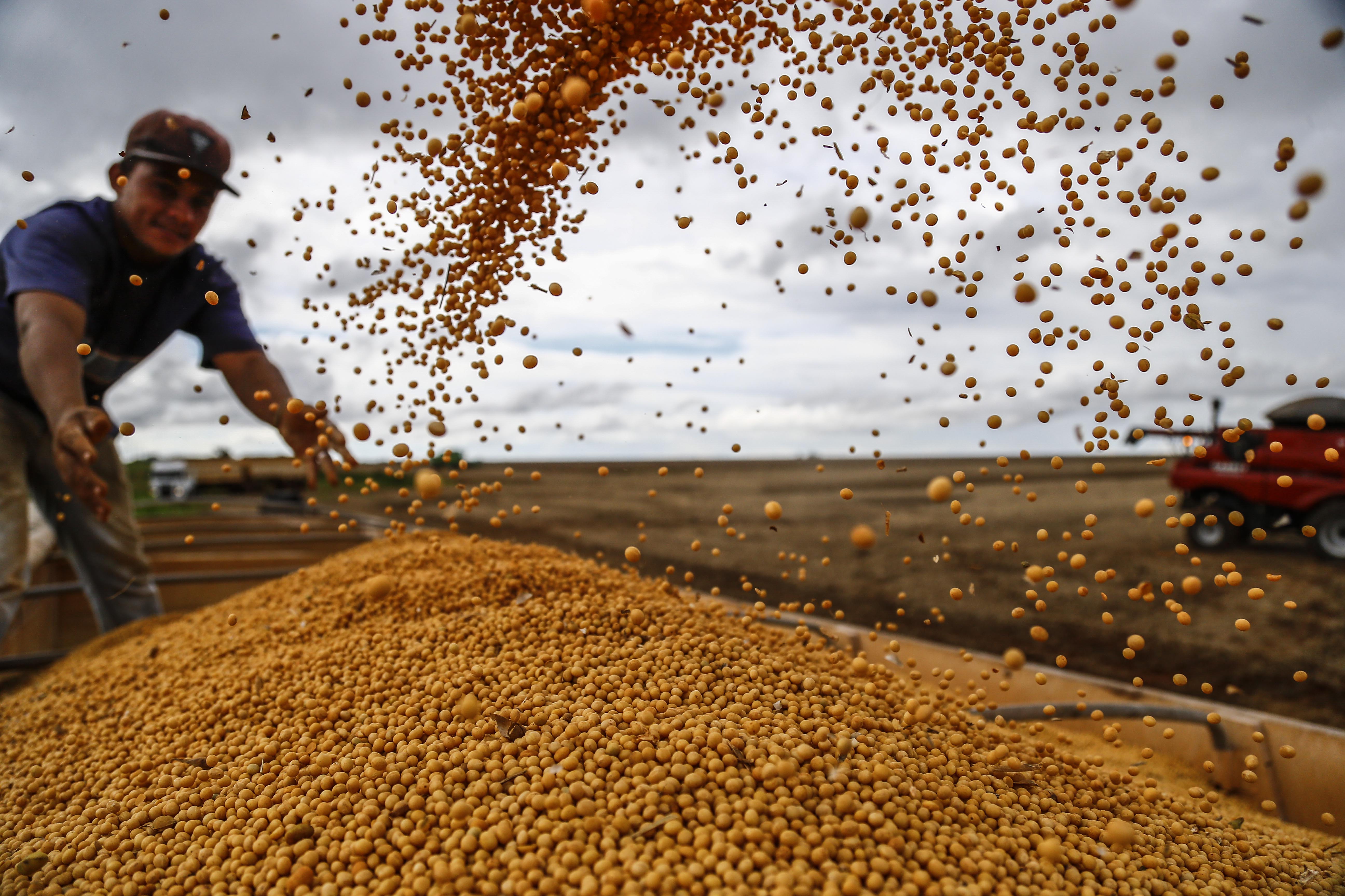  | Jonathan Campos/Gazeta do Povo