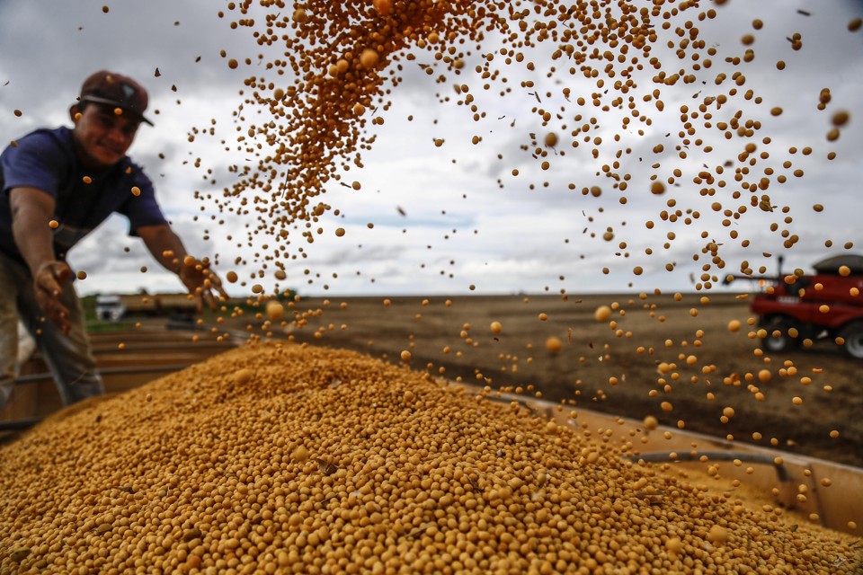 De repente, a soja virou a commodity mais quente da política mundial | Jonathan Campos/Gazeta do Povo