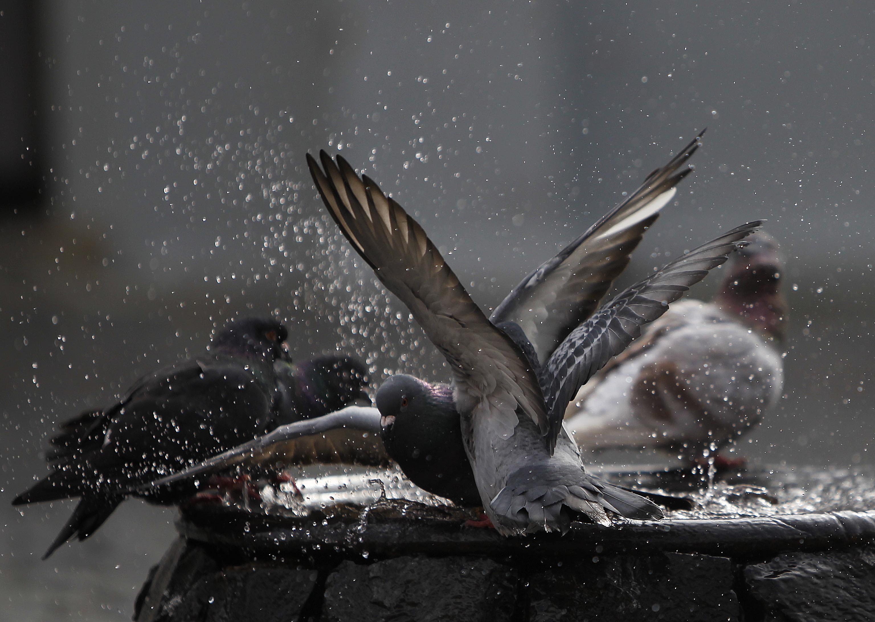 | Jonathan Campos/Gazeta do Povo/Arquivo