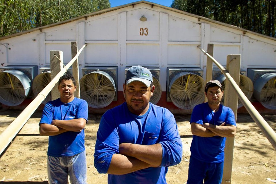Cadê os perus que estavam aqui? Último dia de trabalho de três funcionários de granja no Sudoeste de Goiás: limpeza e fechamento | Daniel Caron/Gazeta do Povo