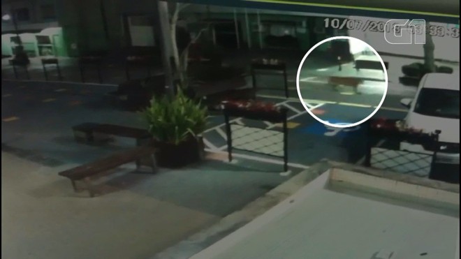 Imagem de onça-parda caminhando em rente a uma capela mortuária, em Cascavel (PR). | Reprodução/G1