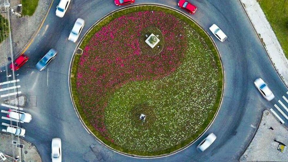 Vistas de cima, as flores formam  o tradicional símbolo chinês | DanielCastellano/PMC