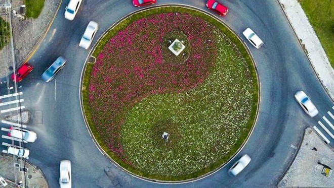 Vistas de cima, as flores formam o tradicional símbolo chinês | DanielCastellano/PMC