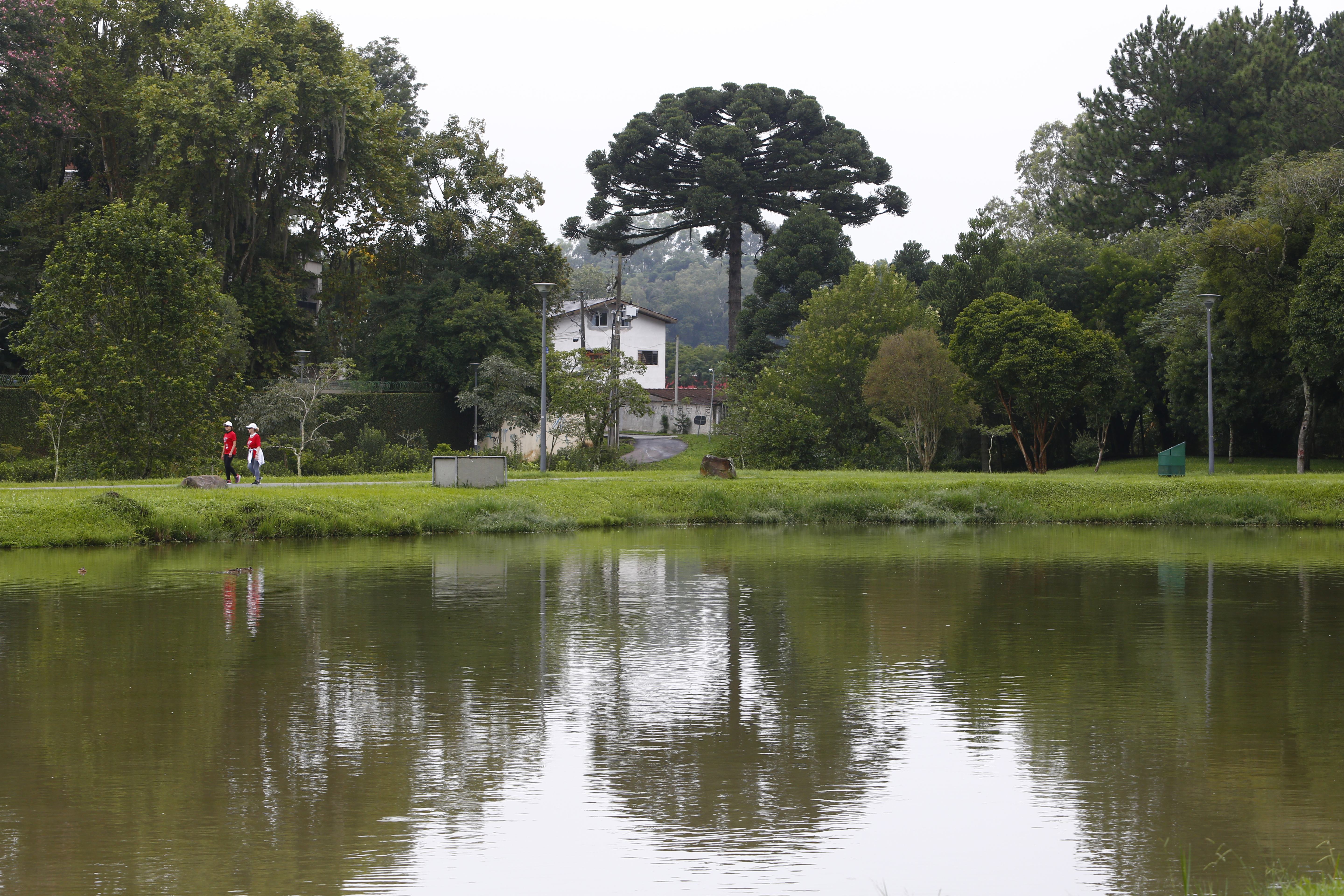 | Aniele Nascimento/Gazeta do Povo