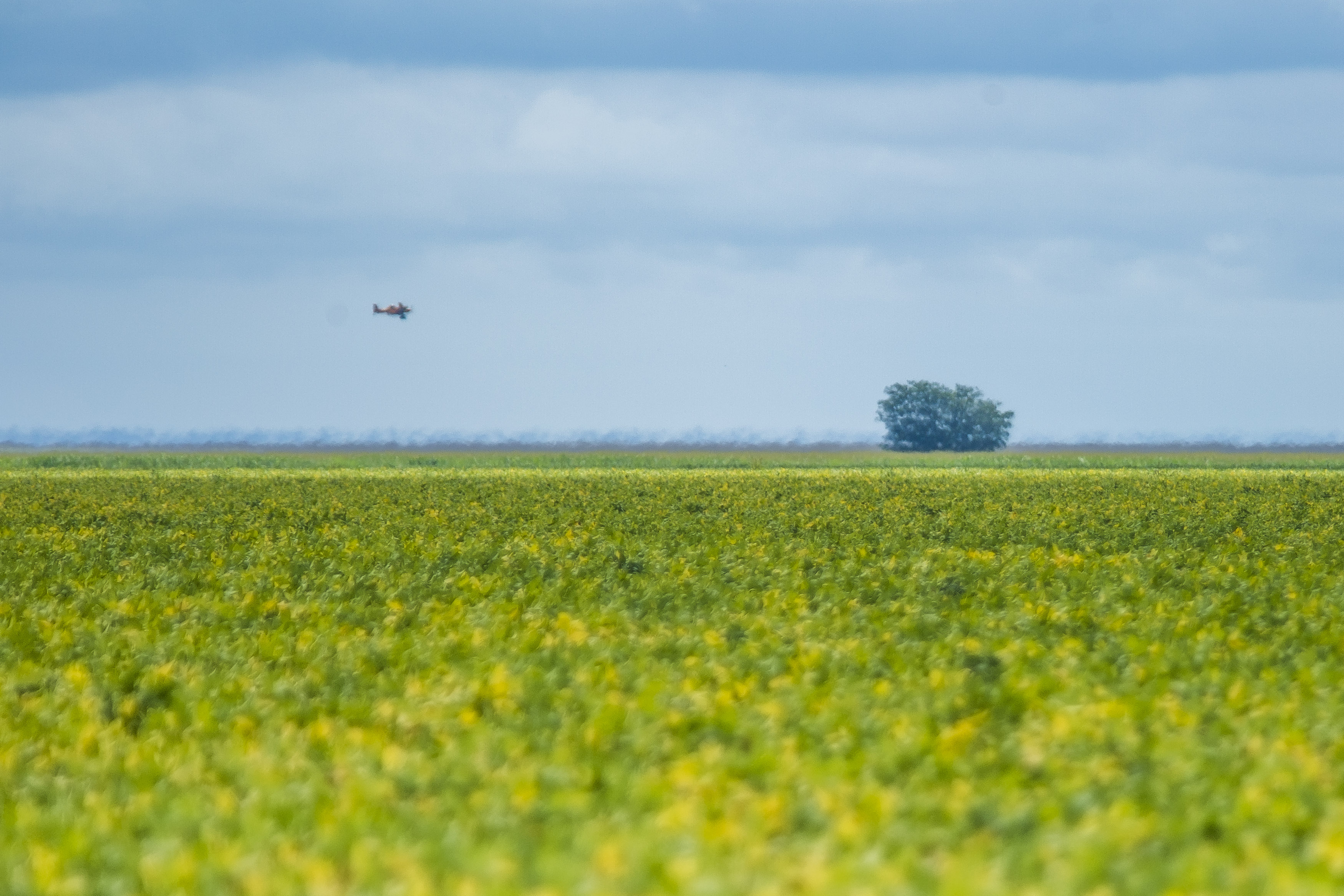  | Lineu Filho/Gazeta do Povo