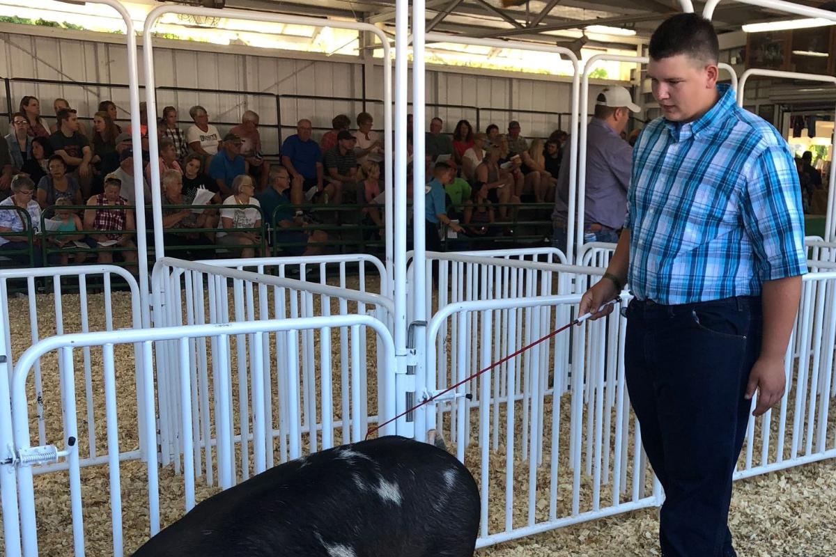 Waylon Klitzman, 15 anos, que arrecadou fundos para a pesquisa do câncer com o leilão de um porco | Kim Katzenmeyer/ Divulgação