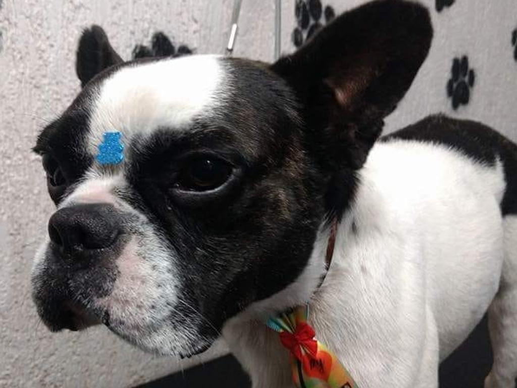  | Foto: Arquivo  pessoal / Carolinny Freitas