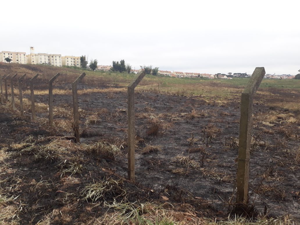 Quase 5 mil m² de vegetação que evitava a proliferação do odor forte gerado na estação foram queimados | Divulgação/Sanepar