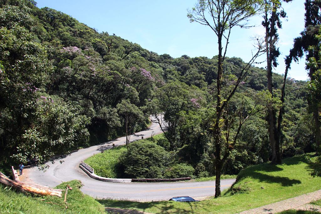 | Walter Alves / Gazeta do Povo