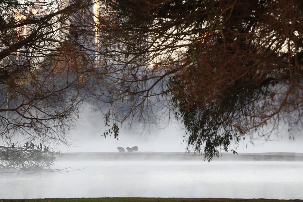| Aniele Nascimento/Gazeta do Povo
