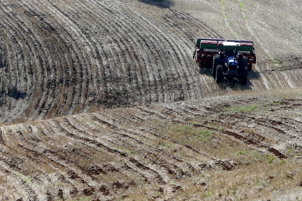 Três quartos das terras agrícolas da África do Sul são de propriedade de fazendeiros brancos