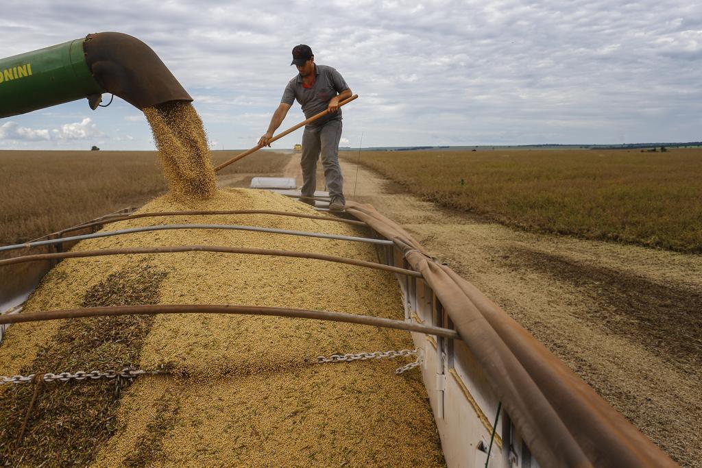 A soja teve um expressivo aumento da área semeada, saindo de 33,9 milhões para 35,2 milhões de hectares na safra atual. | Jonathan Campos/Gazeta do Povo