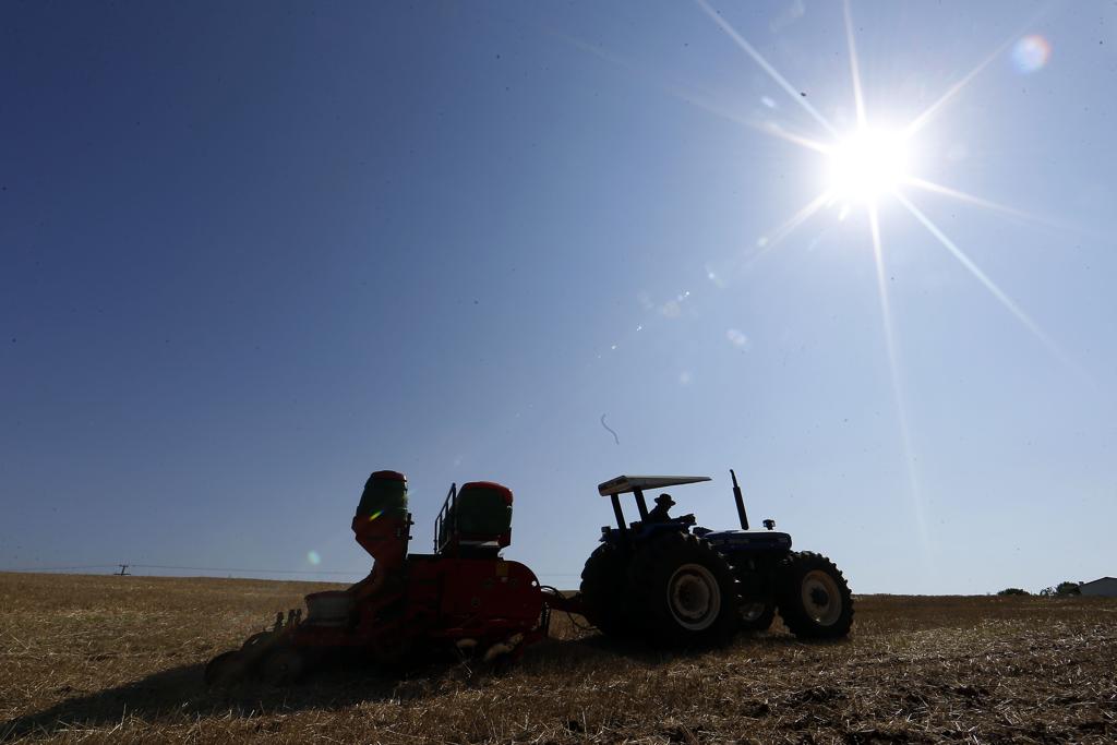 Uso do glifosato faz parte da metodologia de plantio direto, apontada como a mais benéfica do ponto de vista ambiental | Albari Rosa/Gazeta do Povo
