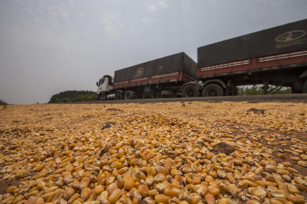 | JONATHAN CAMPOS/GAZETA DO POVO