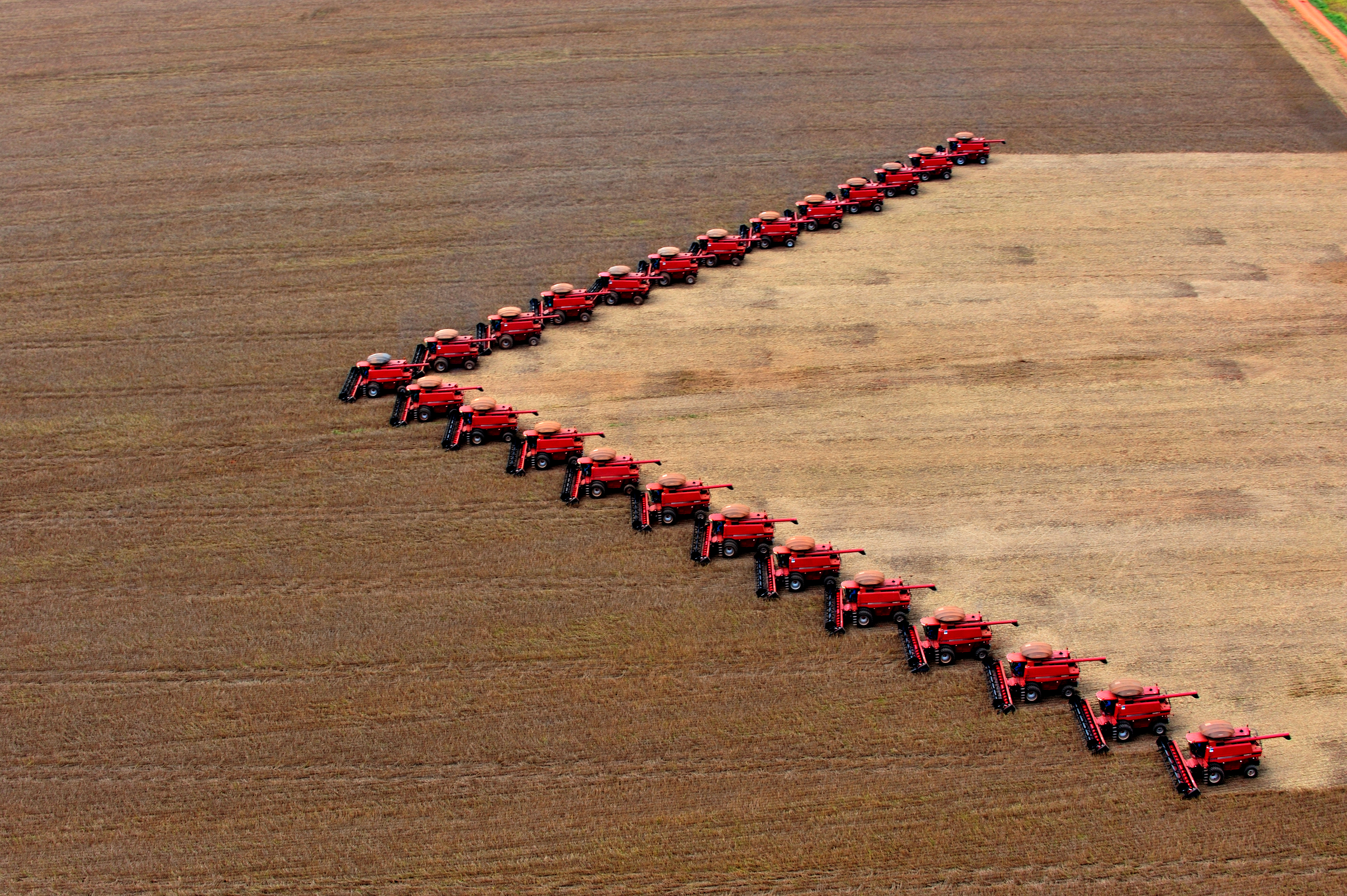 Segundo fontes, a venda das fazendas foi a grande aposta da herdeira para reduzir o endividamento de negócios problemáticos da família. | Arquivo
/Gazeta do Povo