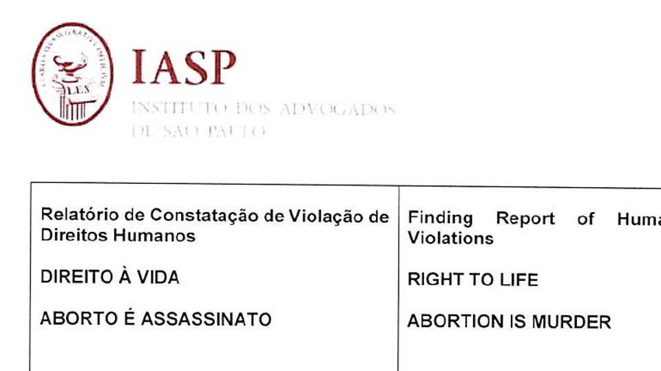 O relatório foi aprovado por 11 votos contra três. Outros três advogados aprovaram parcialmente o texto | Reprodução /Documento Comissão de Direitos Humanos IASP
