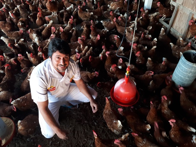 Rildo Ferraz em um galpão de galinhas poedeiras livres de gaiola em São Bento do Una, Pernambuco | Marcos Tosi/Gazeta do Povo
