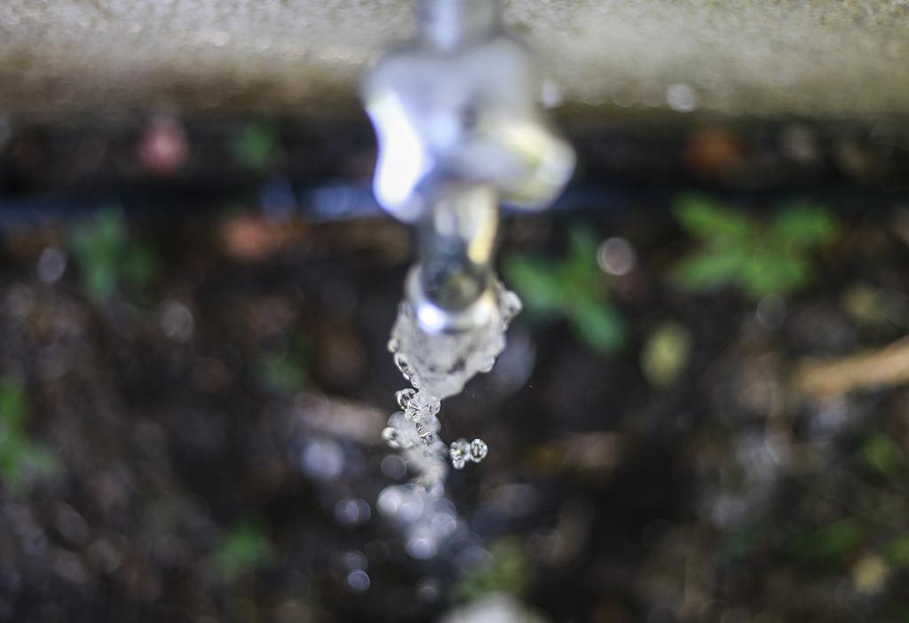 | Jonathan Campos/Gazeta do Povo