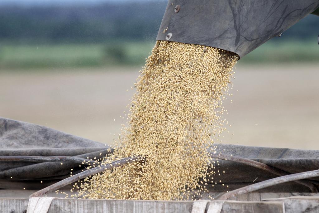  | Daniel Caron/Gazeta do Povo