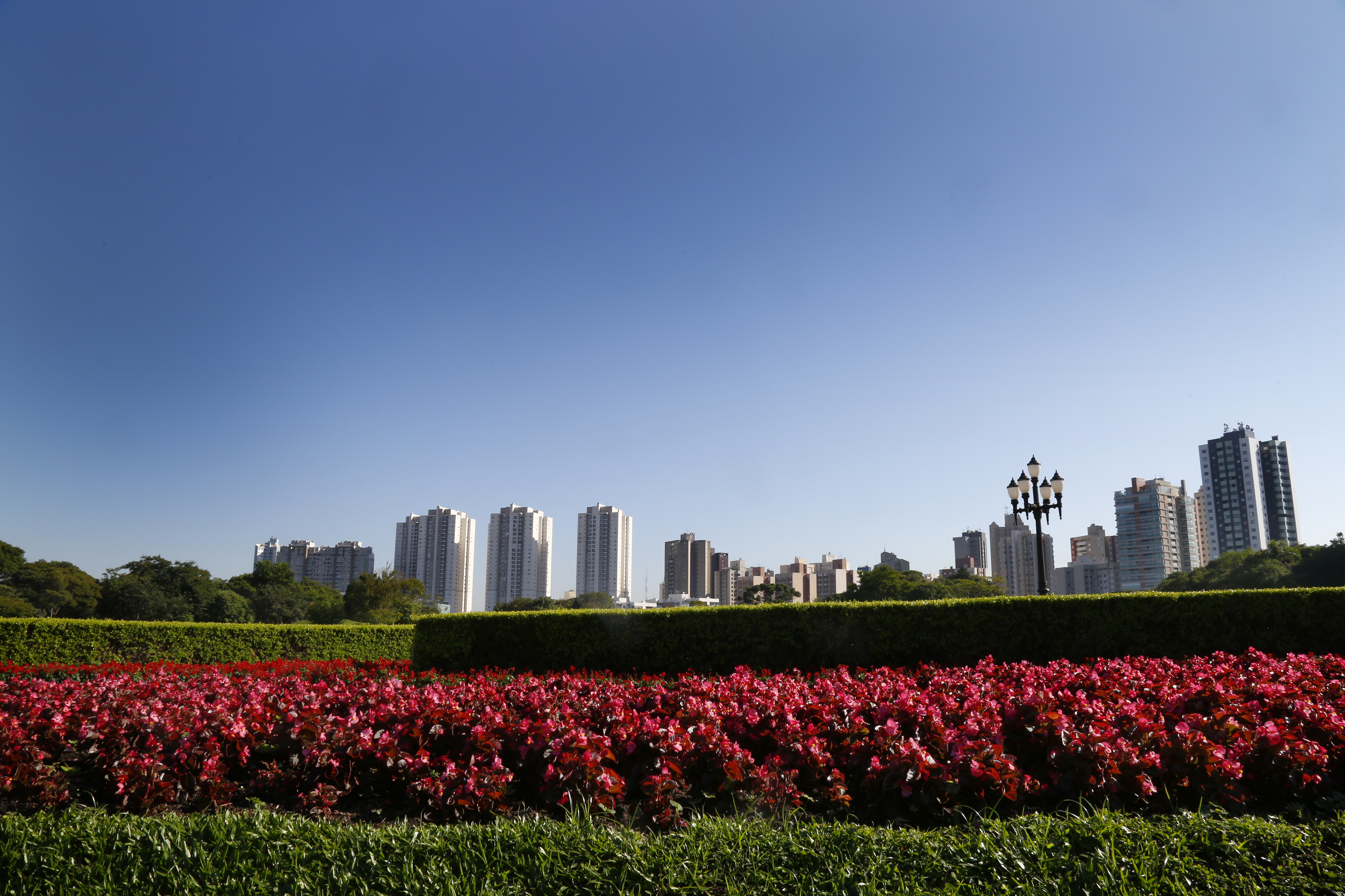 | Aniele Nascimento/Gazeta do Povo