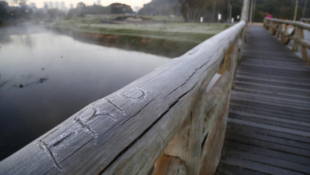 | Aniele Nascimento/Gazeta do Povo