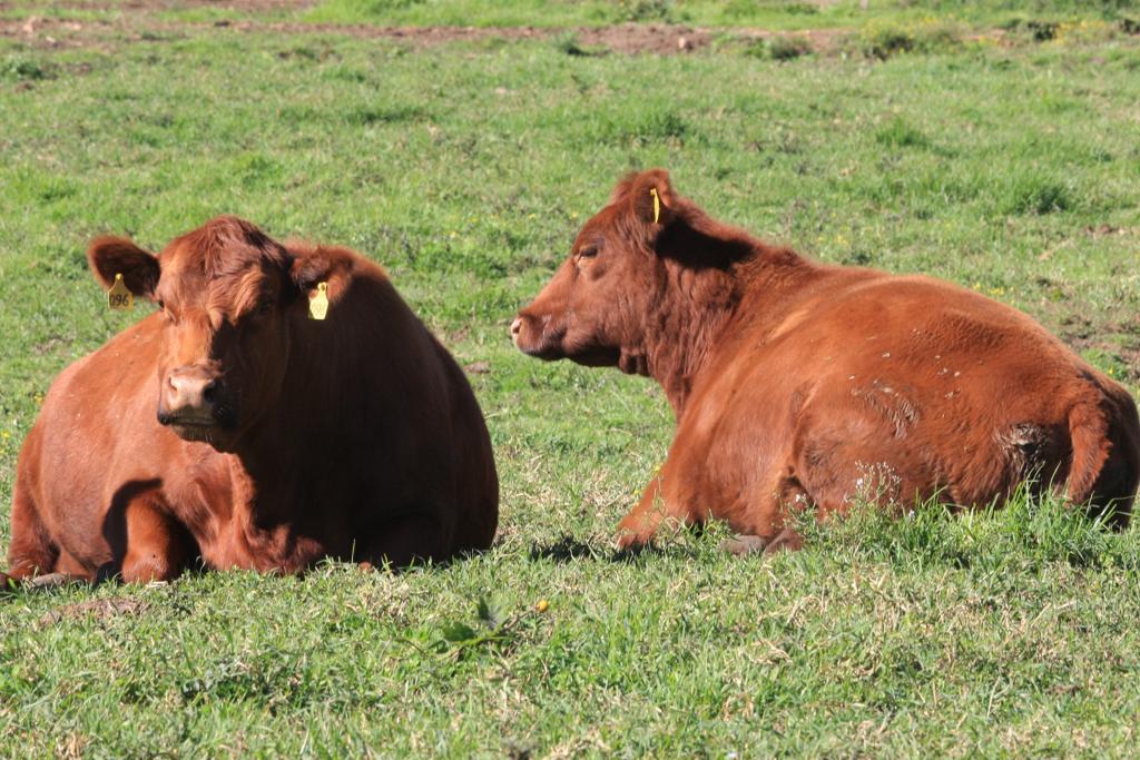 | Arquivo/Gazeta do Povo