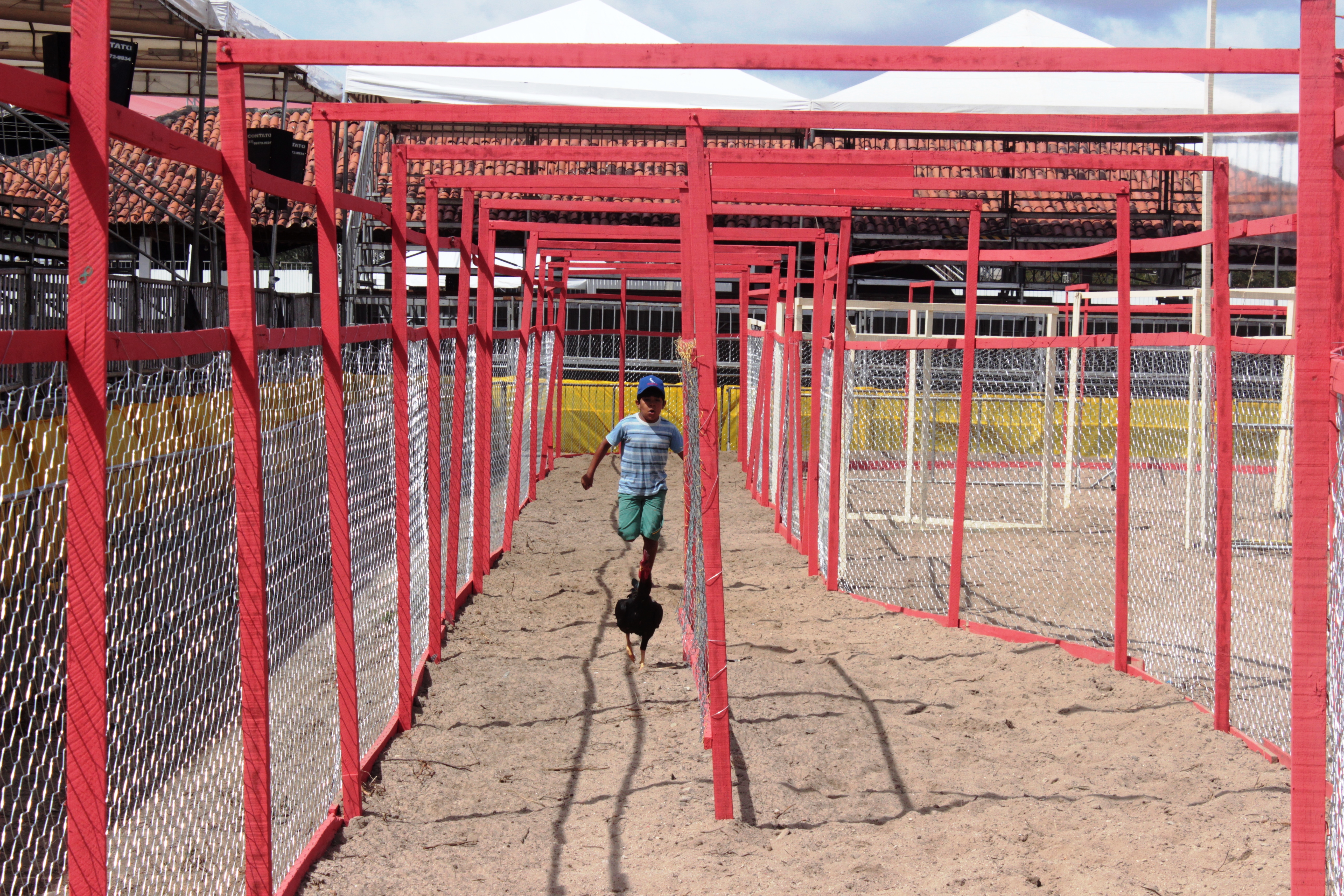 A competição é aberta para todos os públicos e todas as idades. | /