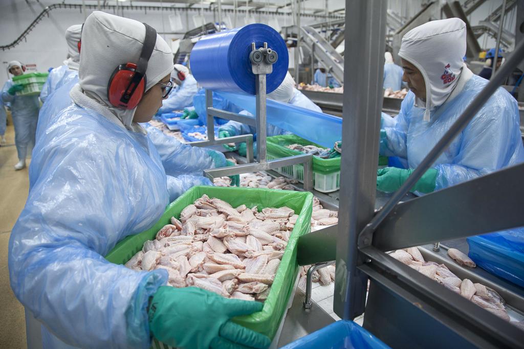  | Daniel Caron/Gazeta do Povo