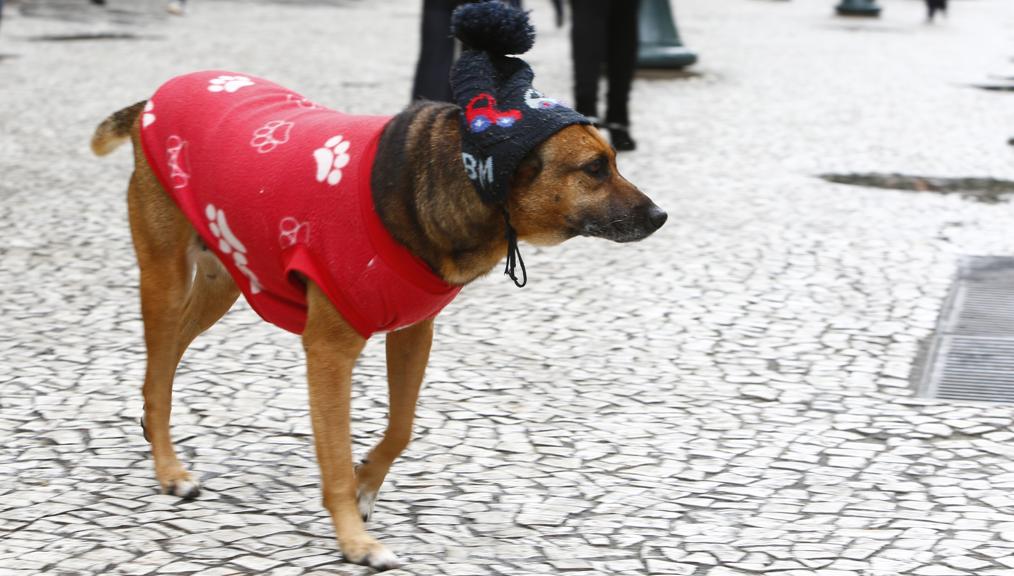 O dia não deve ser tão gelado, mas temperaturas devem cair já ao anoitecer | Aniele Nascimento/Gazeta do Povo