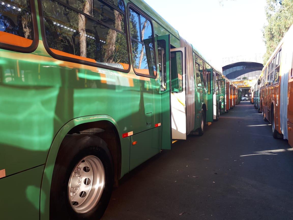 | Cecilia Tumler /Gazeta do Povo