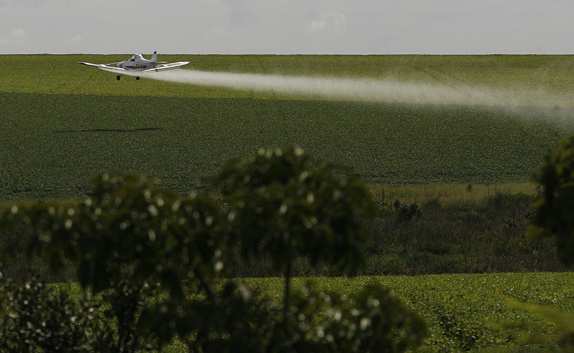 O diretor da Associação Brasileira do Agronegócio (Abag), Luiz Lourenço, criticou a decisão da Justiça. | JONATHAN CAMPOS /Gazeta do Povo