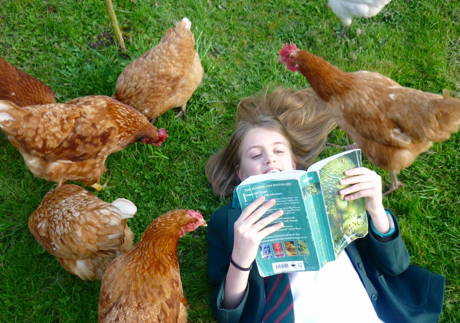 Garota inglesa Sally Hilton cercada por galinhas adotadas | Divulgação/BHWT