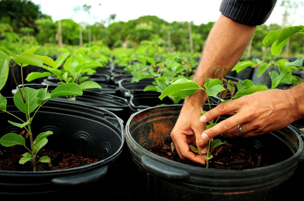| Pedro Ventura/Ag. Brasília