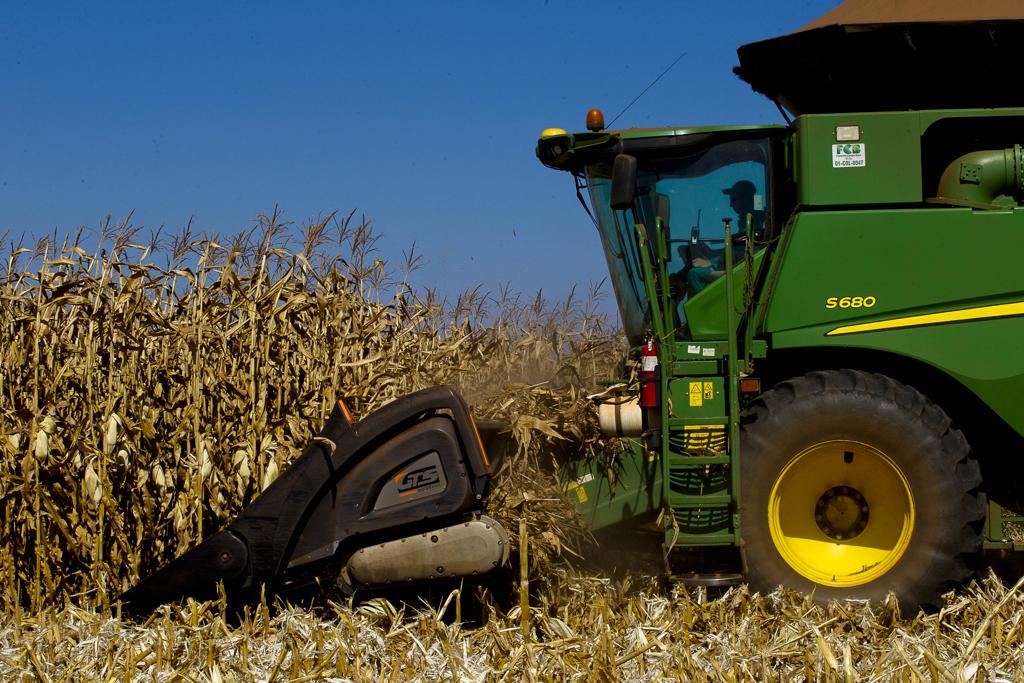 | Daniel Caron/Gazeta do Povo