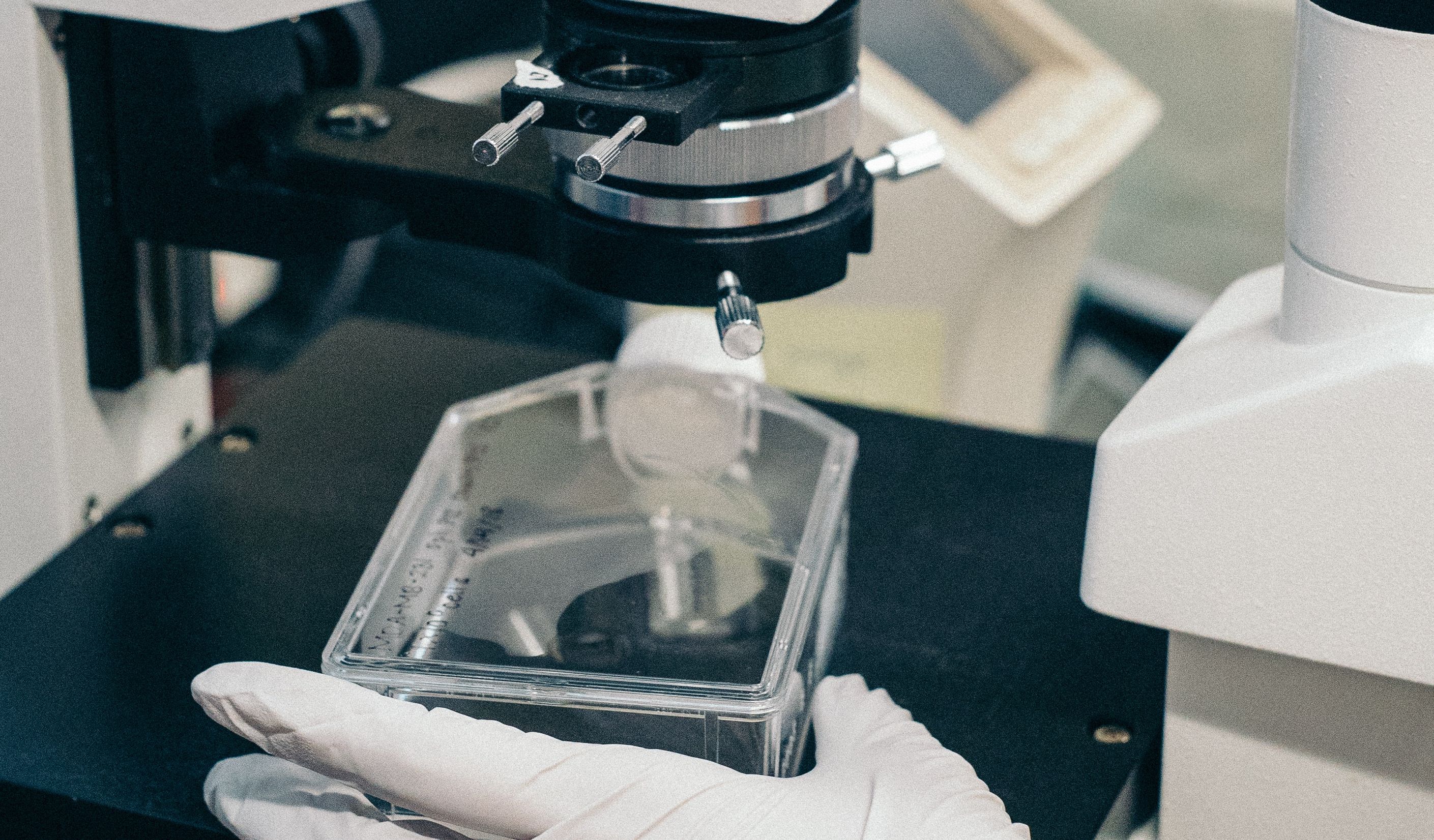  | Jaron Nix/Unsplash