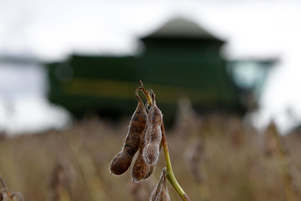 O temor é que a China esteja se aproximando do Brasil, Canadá . | Daniel Caron/Gazeta do Povo