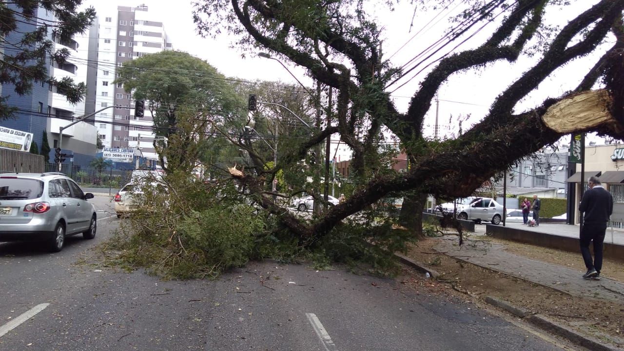 | Divulgação/Setran