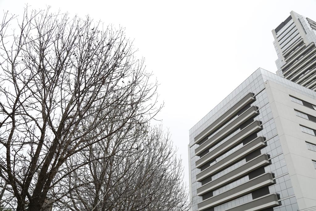  | Aniele Nascimento/Gazeta do Povo