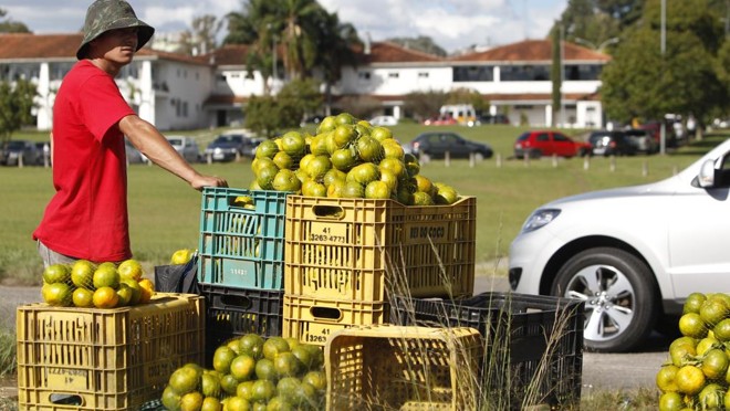A remuneração média de quem virou conta própria depois do início da crise, em 2015, caiu 33% em relação ao rendimento dos trabalhadores que estavam há mais tempo nesse tipo de ocupação. | Daniel Castellano / Arquivo Gazeta do Povo.