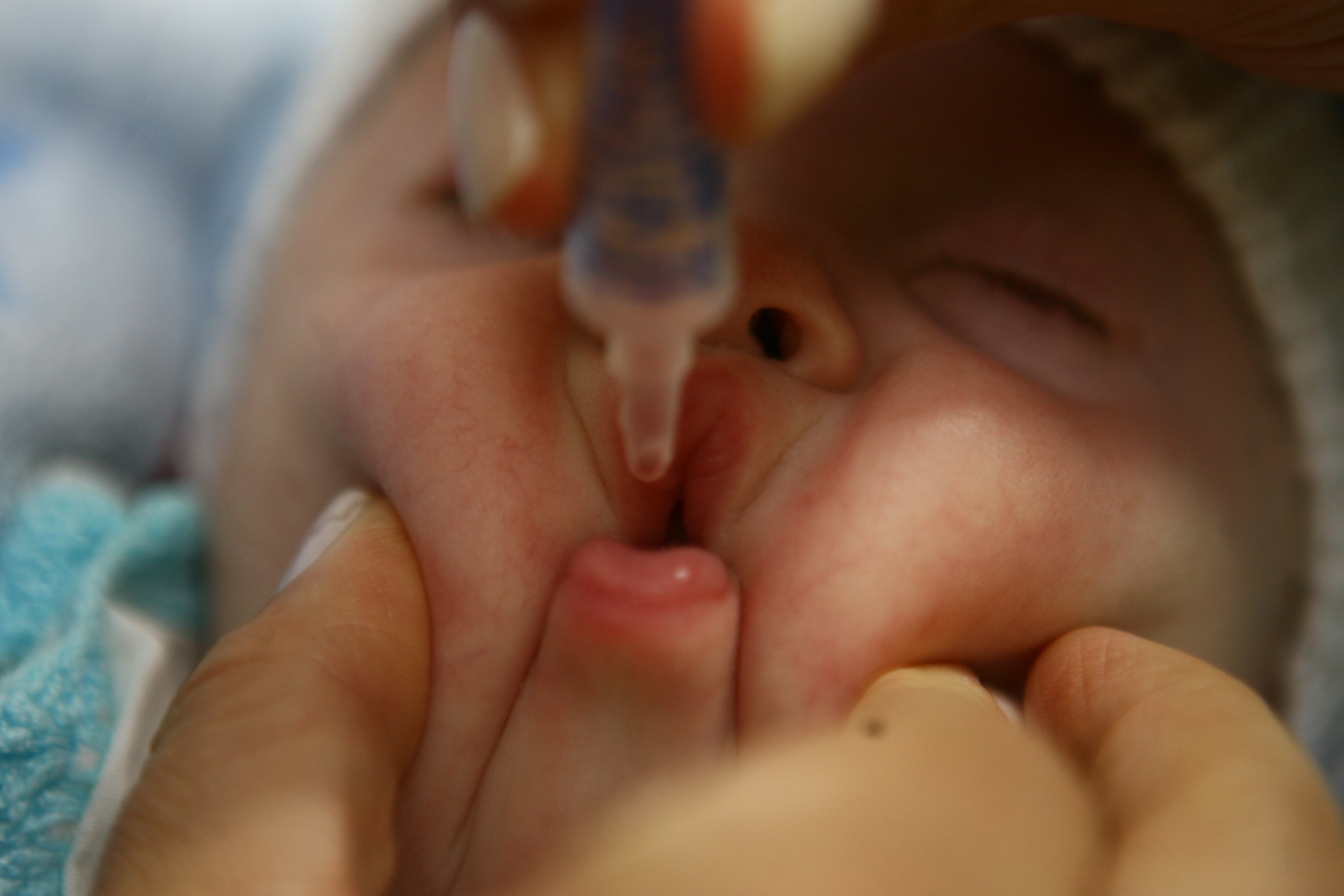 | Daniel Castellano/Gazeta do Povo/Arquivo